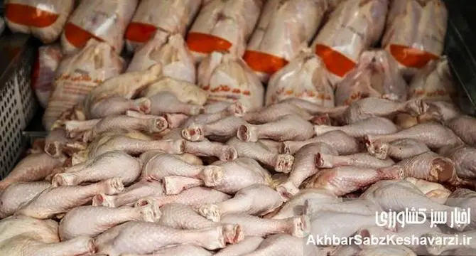 مرغ از سفره‌ها پر کشید؛ مصرف ۲۰ درصد کاهش یافت