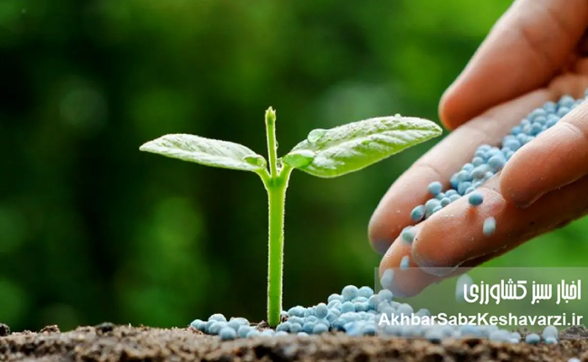 کودها و سموم کشاورزی در ایران؛ تهدید سلامت انسان و راهکارهای کاهش خطر