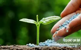 کودها و سموم کشاورزی در ایران؛ تهدید سلامت انسان و راهکارهای کاهش خطر