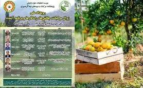 رویداد ملی زوال مرکبات، چالش‌ها، راهکارها و برنامه آینده

