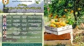 رویداد ملی زوال مرکبات، چالش‌ها، راهکارها و برنامه آینده

