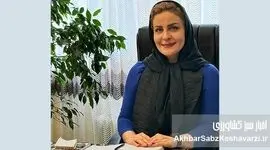 ذهن بهره‌ور: نقش روان‌شناسی در افزایش عملکرد فردی و سازمانی