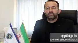 واردات بی‌رویه گوشت: تیری به قلب دامداران ایرانی؟+ ویدئو