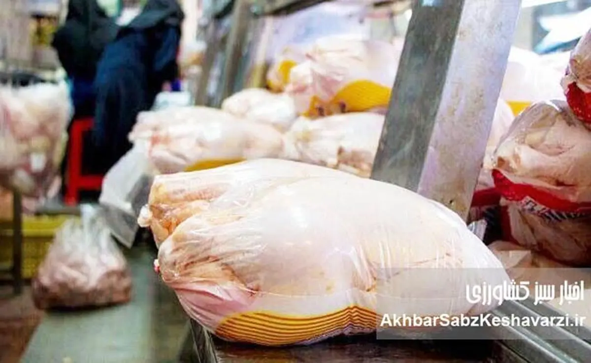 قیمت جدید مرغ گرم اعلام شد؛ هر کیلو مرغ چند شد؟