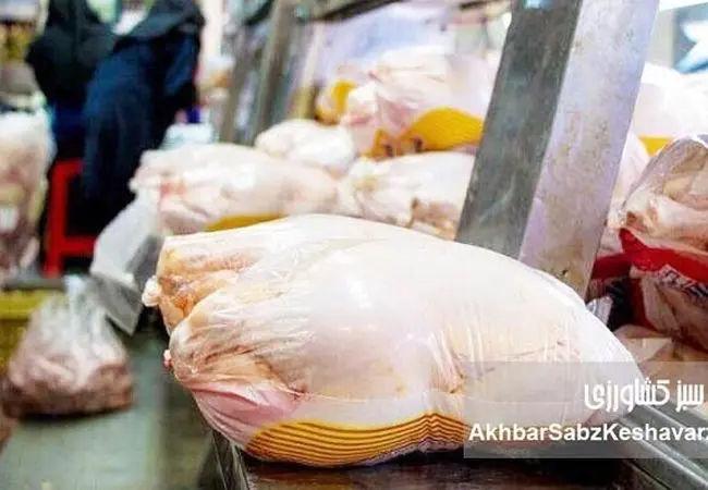 قیمت جدید مرغ گرم اعلام شد؛ هر کیلو مرغ چند شد؟