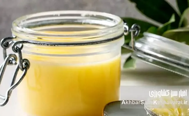 ​باورهای غلط یا خطری پنهان؟ حقیقت مصرف روغن حیوانی بعد از زایمان
