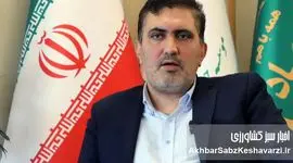 چرا با وجود حکم قطعی اختلاس، مدیر محکوم همچنان بر شریان امنیت غذایی کشور تکیه زده است؟