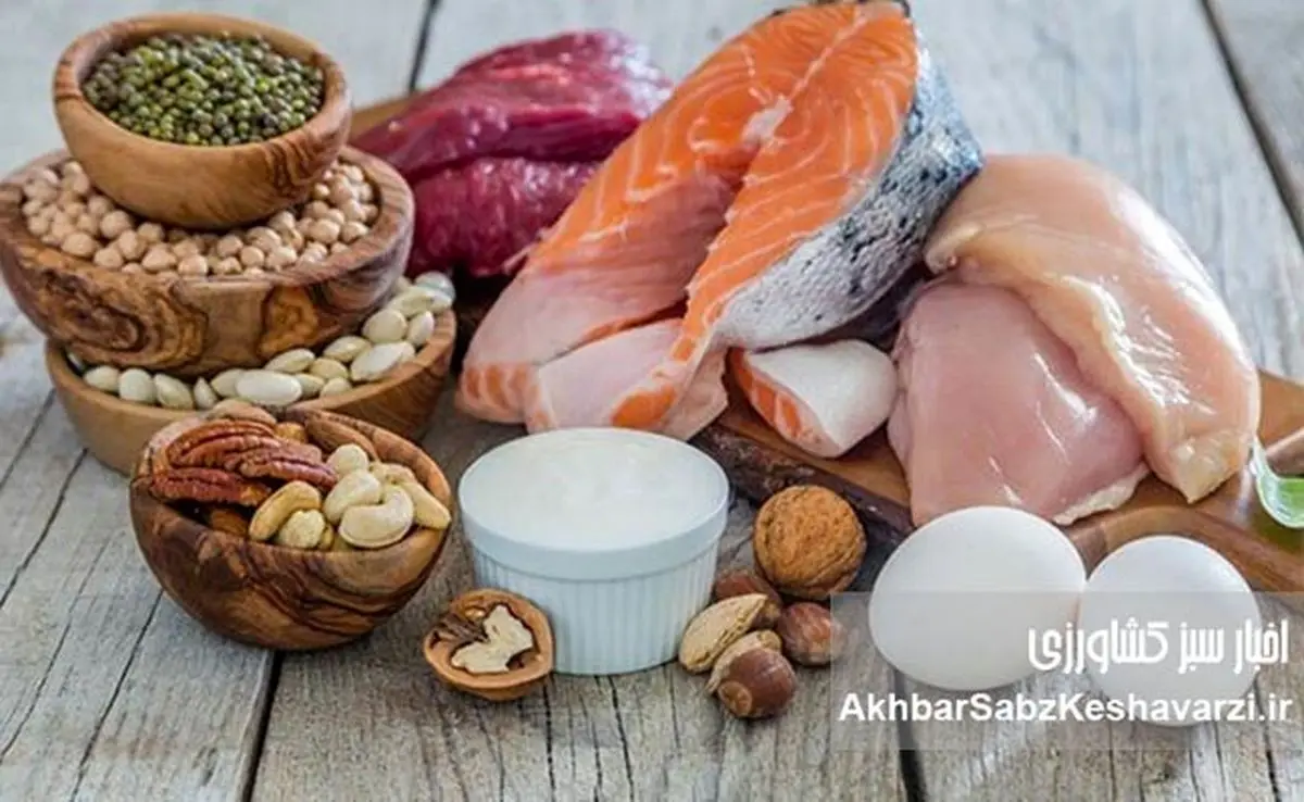 بیشترین افزایش قیمت خوراکیها در خرداد ۱۴۰۴: از تخم مرغ تا لیموترش! +جدول کامل