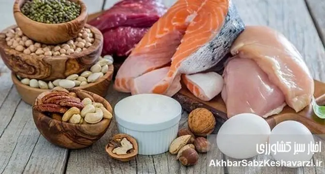 بیشترین افزایش قیمت خوراکی‌ها در خرداد ۱۴۰۴: از تخم مرغ تا لیموترش! +جدول کامل