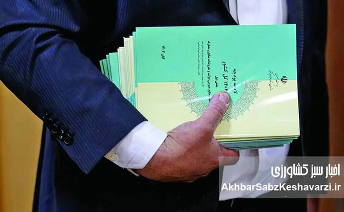 سرآغاز بررسی و تصویب سند مالی کشور در مجلس