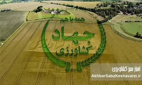 وزارتخانه بر سر دو راهی: استمرار فساد سیستماتیک، تغییر دکور یا اصلاح واقعی زیرساخت