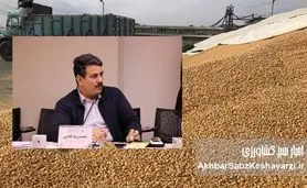 بنبست واردات نهادههای دامی؛ بازی با زمان و از دست رفتن میلیاردها تومان در بنادر ایران