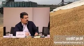 بن‌بست واردات نهاده‌های دامی؛ بازی با زمان و از دست رفتن میلیاردها تومان در بنادر ایران