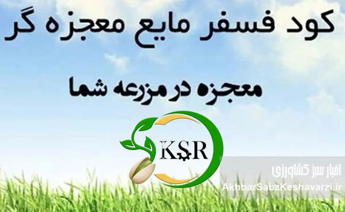 سبد محصولات کیمیای سبز رفسنجان؛ گامی بلند به سوی خودکفایی کشاورزی