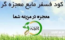 سبد محصولات کیمیای سبز رفسنجان؛ گامی بلند به سوی خودکفایی کشاورزی