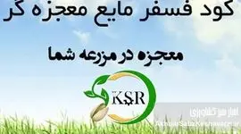 سبد محصولات کیمیای سبز رفسنجان؛ گامی بلند به سوی خودکفایی کشاورزی
