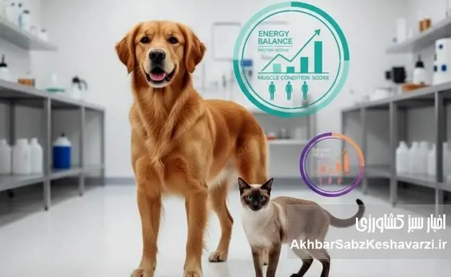 سگ و گربه شما دقیقاً چه تغذیه‌ای نیاز دارند؟ پاسخ علمی یک کارشناس تغذیه دام