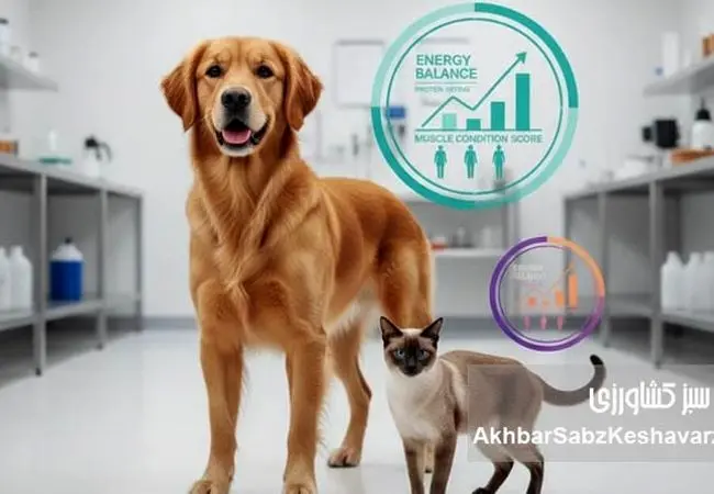 سگ و گربه شما دقیقاً چه تغذیه‌ای نیاز دارند؟ پاسخ علمی یک کارشناس تغذیه دام