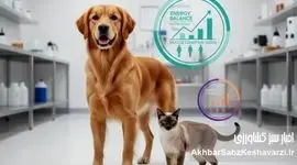 سگ و گربه شما دقیقاً چه تغذیه‌ای نیاز دارند؟ پاسخ علمی یک کارشناس تغذیه دام