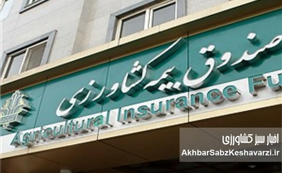 جهش بی‌سابقه سرمایه صندوق بیمه کشاورزی