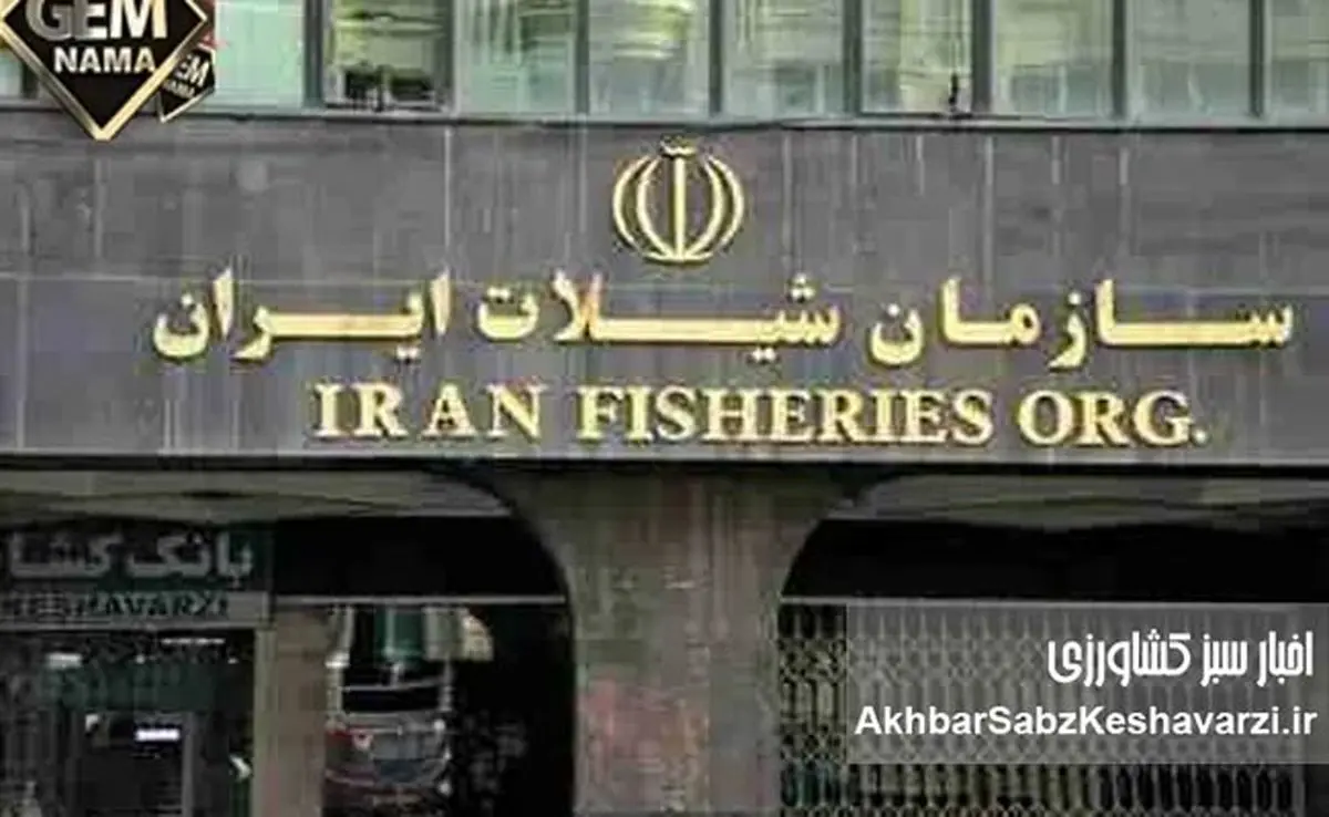 انحلال سازمان شیلات ایران؛ ضربه‌ای مهلک بر پیکره اقتصاد و امنیت غذایی کشور؟