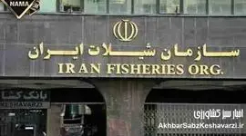 انحلال سازمان شیلات ایران؛ ضربه‌ای مهلک بر پیکره اقتصاد و امنیت غذایی کشور؟