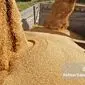 بحران در بازار نهادههای دامی؛ مرغداران میگویند «بازارگاه نهاده ندارد»