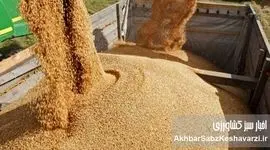 بحران در بازار نهاده‌های دامی؛ مرغداران می‌گویند «بازارگاه نهاده ندارد»