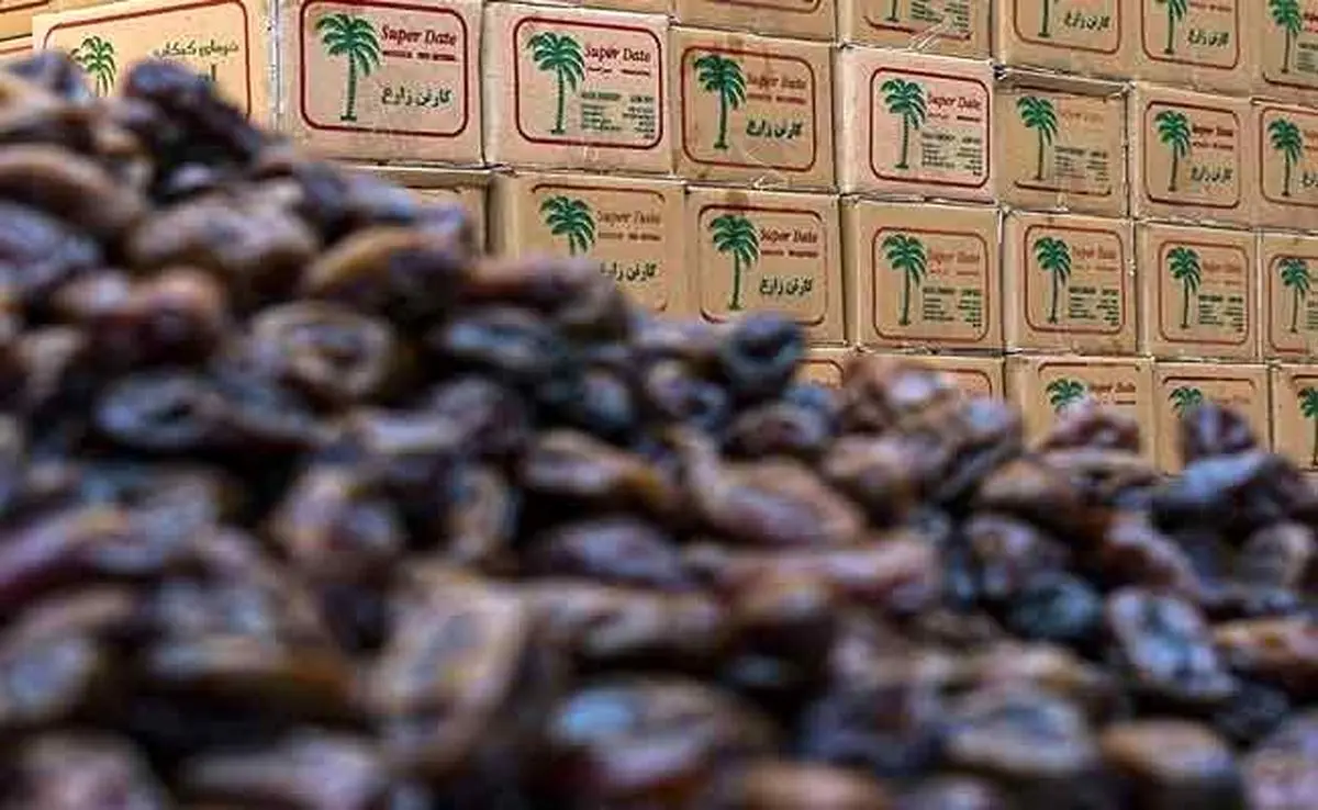 قیمت خرما در آستانه رمضان شوکه‌کننده شد؛ مضافتی تا کیلویی ۶۰۰ هزار