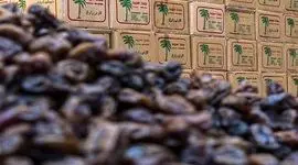 قیمت خرما در آستانه رمضان شوکه‌کننده شد؛ مضافتی تا کیلویی ۶۰۰ هزار