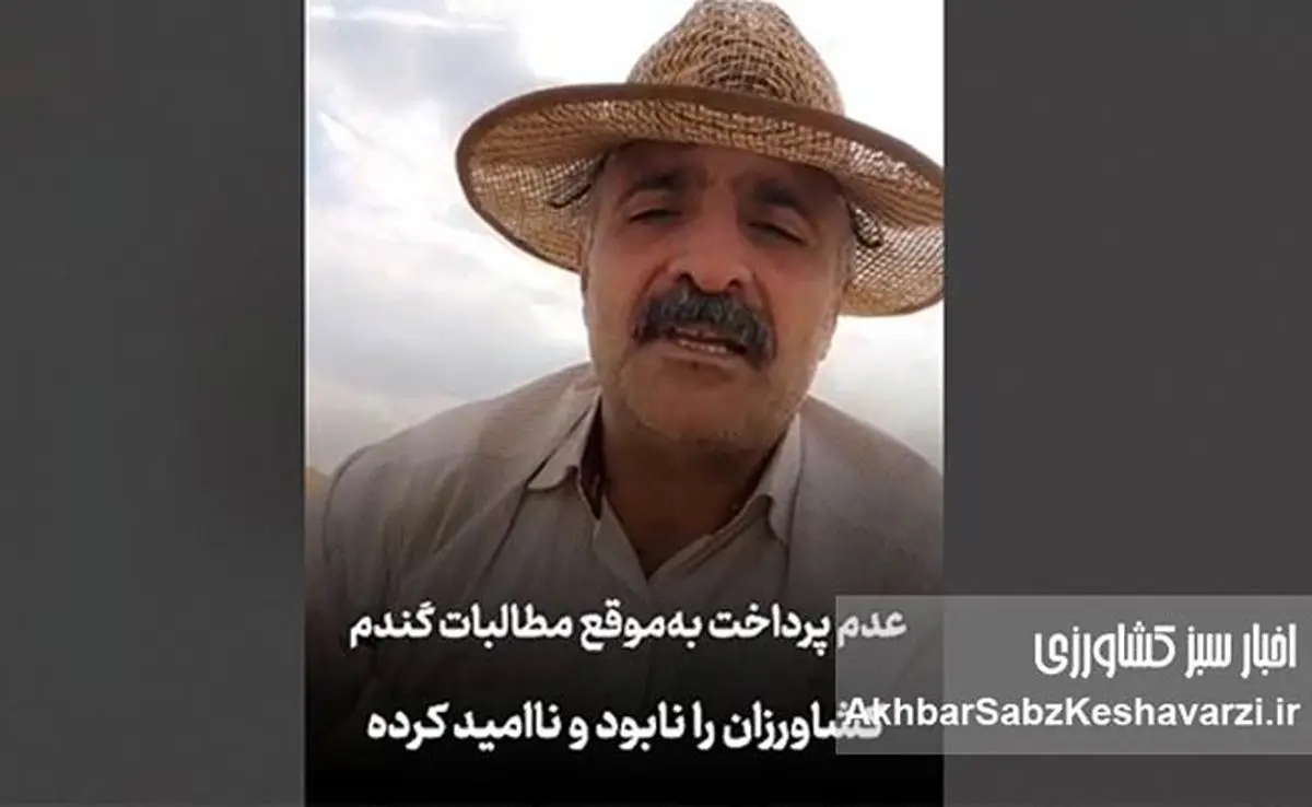 گندم‌کاران نابود شدند؛ روایتی تلخ کشاورز از جیب خالی و وعده‌های بربادرفته+ویدئو