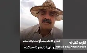 گندم‌کاران نابود شدند؛ روایتی تلخ کشاورز از جیب خالی و وعده‌های بربادرفته+ویدئو
