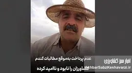گندم‌کاران نابود شدند؛ روایتی تلخ کشاورز از جیب خالی و وعده‌های بربادرفته+ویدئو