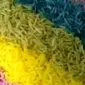 طرز تهیه برنج خوشگل و رنگی + ویدئو