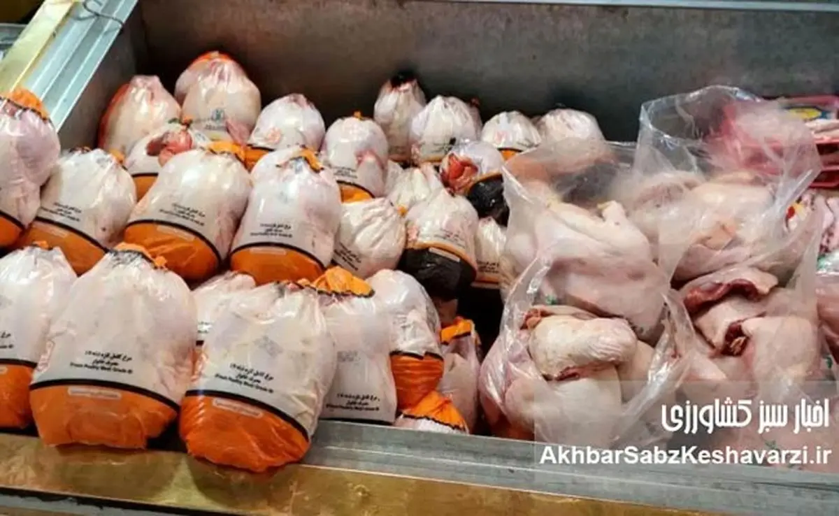 مرغ ارزان شد؟ جزئیات قیمت جدید مرغ در بازار تهران