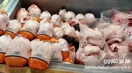 مرغ ارزان شد؟ جزئیات قیمت جدید مرغ در بازار تهران