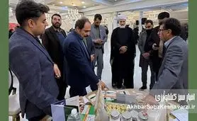 قزوین پای میز کودهای تخصصی؛ محصولات «کیمیای سبز رفسنجان» به میدان آمدند