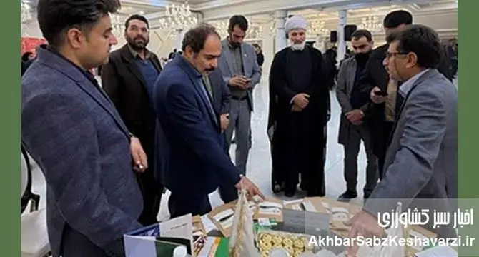 قزوین پای میز کودهای تخصصی؛ محصولات «کیمیای سبز رفسنجان» به میدان آمدند