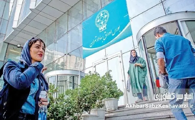 نجات بورس کشور در گرو اعتماد سازی دولت: راهکارهایی برای خروج از بحران