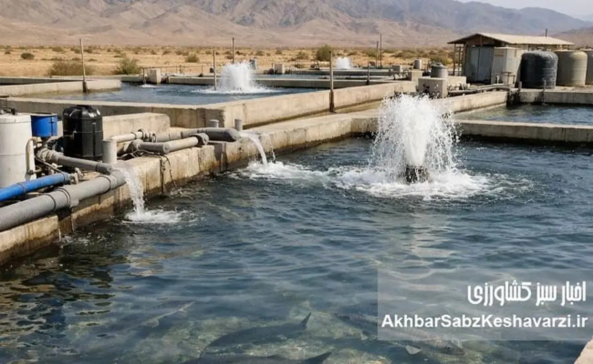 از اعماق دریا تا ویترین‌های لوکس؛ چرم ماهی، طلای نادیده شیلات ایران