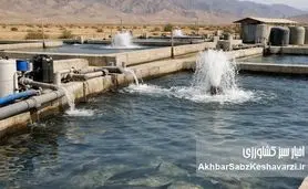 از اعماق دریا تا ویترین‌های لوکس؛ چرم ماهی، طلای نادیده شیلات ایران