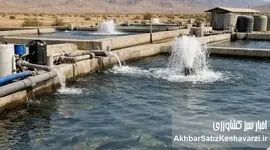 از اعماق دریا تا ویترین‌های لوکس؛ چرم ماهی، طلای نادیده شیلات ایران