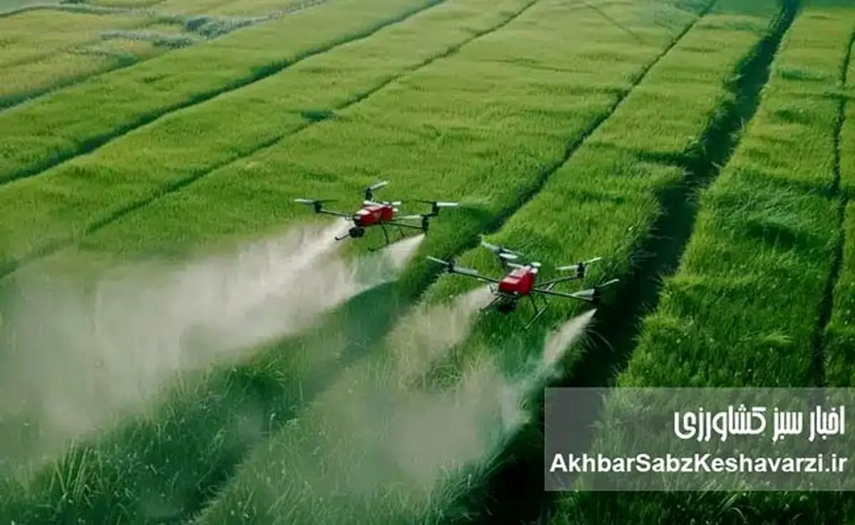 نجات مزرعه در بحران کمبود ارز: راهنمای جامع بهینهسازی مصرف کودهای شیمیایی