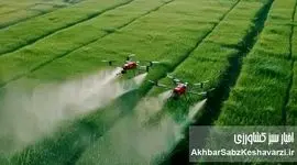 نجات مزرعه در بحران کمبود ارز: راهنمای جامع بهینه‌سازی مصرف کودهای شیمیایی