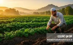 راز واقعی محصولات ارگانیک؛ سلامت از خاک تا سفره+ ویدئو