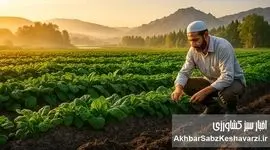 راز واقعی محصولات ارگانیک؛ سلامت از خاک تا سفره+ ویدئو