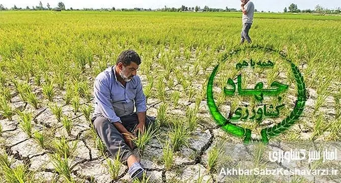 فروپاشی کشاورزی ایران در یک‌سال: ناکارآمدی، فساد ساختاری و درخواست استیضاح وزیر