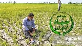 فروپاشی کشاورزی ایران در یک‌سال: ناکارآمدی، فساد ساختاری و درخواست استیضاح وزیر
