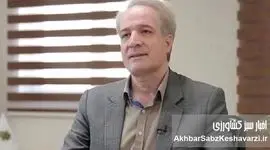 مرغ گران می‌شود یا نه؟ پاسخ صریح معاون وزیر به نگرانی مردم