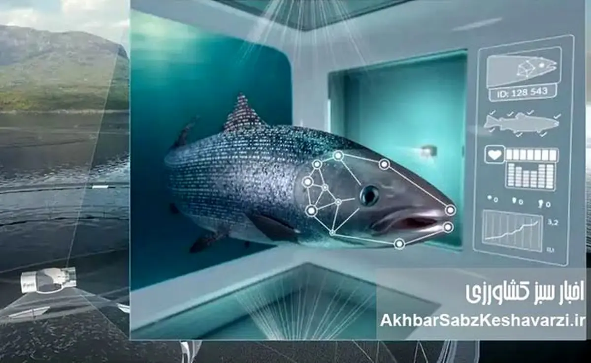 شیلات هوشمند زیرساخت پایداری در ایران